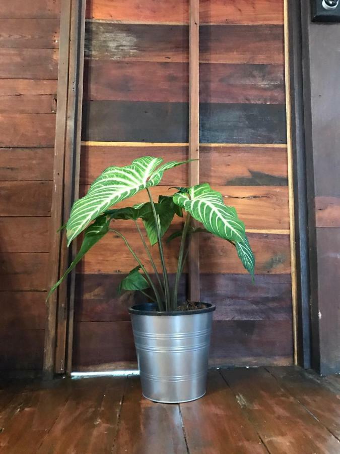 Pickbaan Hostel Lamphun Kültér fotó